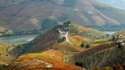 View over the mountainous vineyards of the Douro, Portugal