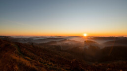 Photo of sunset over vineyard