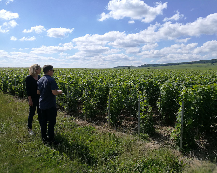 Brandon visits Egly-Ouriet