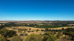 A landscape shot of the Clare Valley