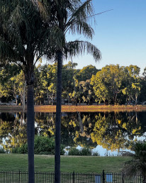 The view from our Clare Valley accomodation