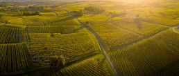 The Bordeaux Region