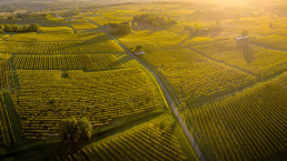 The Bordeaux Region