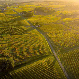 The Bordeaux Region