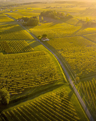 The Bordeaux Region