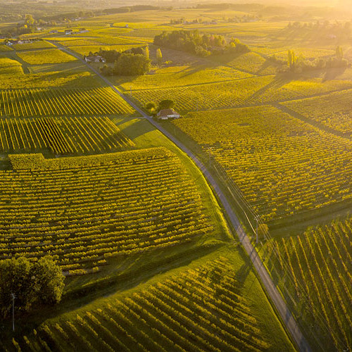 The Bordeaux Region