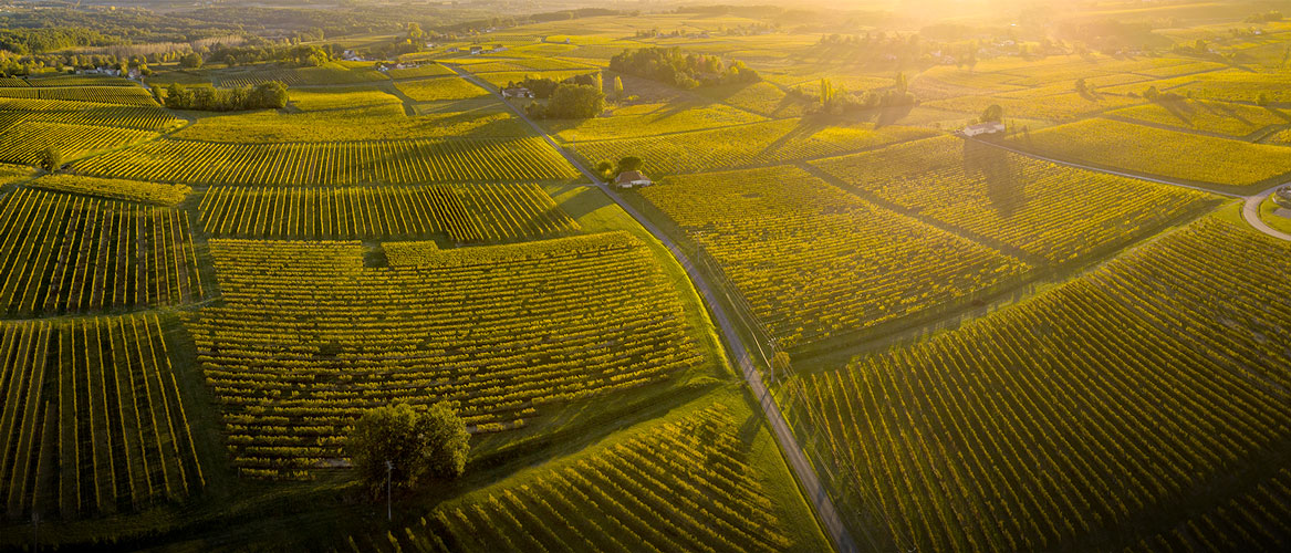 The Bordeaux Region