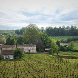 Château Ausone, Bordeaux