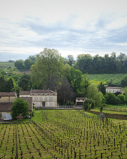 Château Ausone, Bordeaux