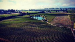 An aerial photo of the Hyde de Villaine vineyards (it's huge)