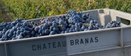 Château Branas Grand Poujeaux