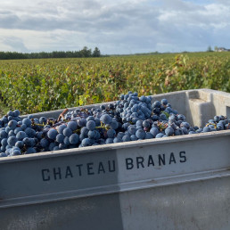 Château Branas Grand Poujeaux