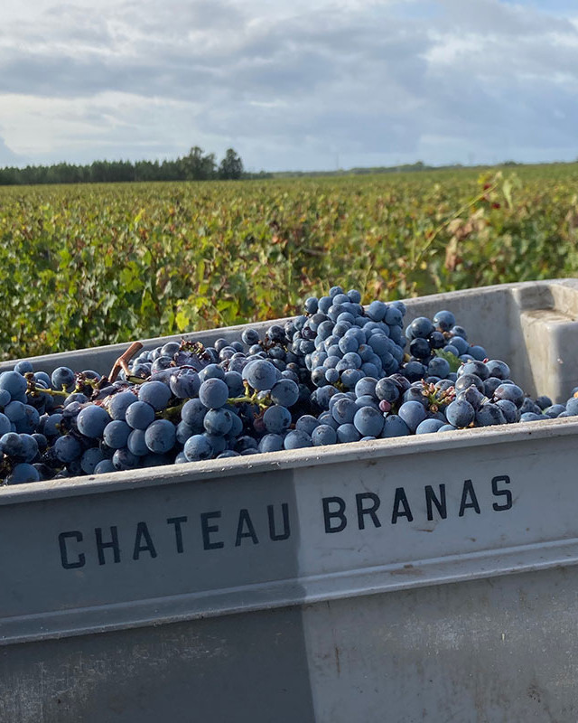 Château Branas Grand Poujeaux
