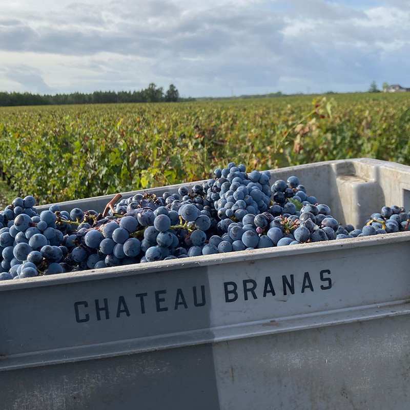 Château Branas Grand Poujeaux