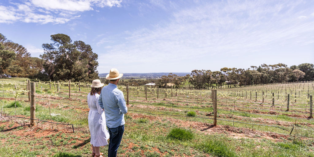 The Sunset Block Vineyard, Paisley Wines