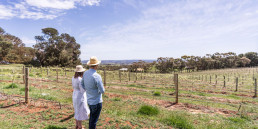 The Sunset Block Vineyard, Paisley Wines